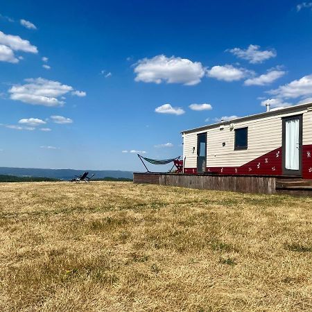 Mountaintop Panoramaview Casa In Bihor Apuseni Vadu Crisului Eksteriør bilde